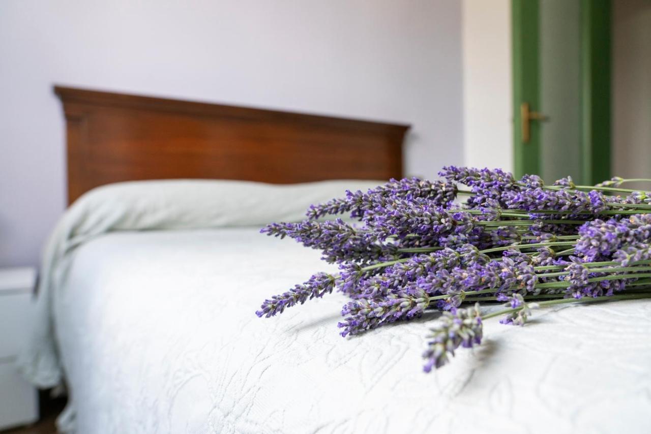 Lago Maggiore A 10 Minuti "Cascina Lavanda" Casalzuigno Exterior foto